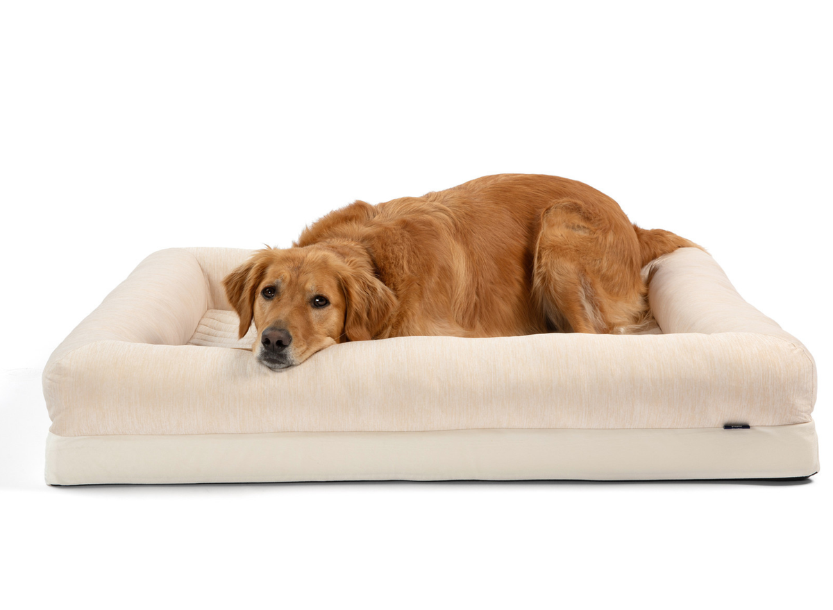 Cream arctic sand cooling 4-bolster dog bed with dog lying across the front bolster