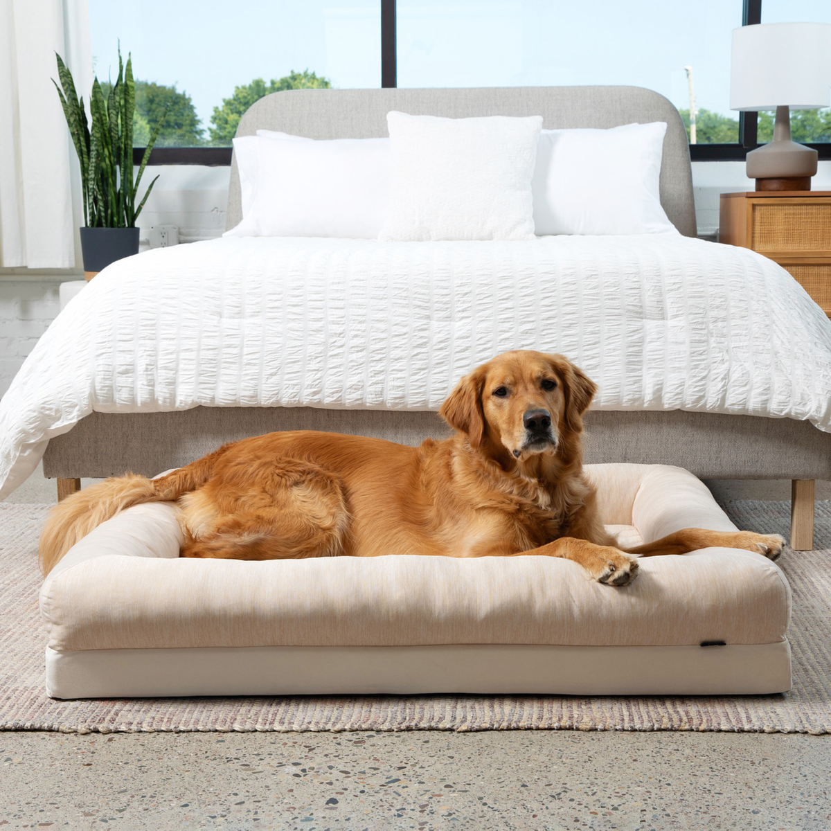 Cooling 4-bolster dog bed with arctic sand base and raised sides, with dog resting