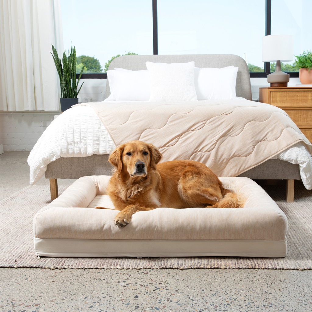 Arctic sand cooling dog bed with raised bolsters, dog resting on the center