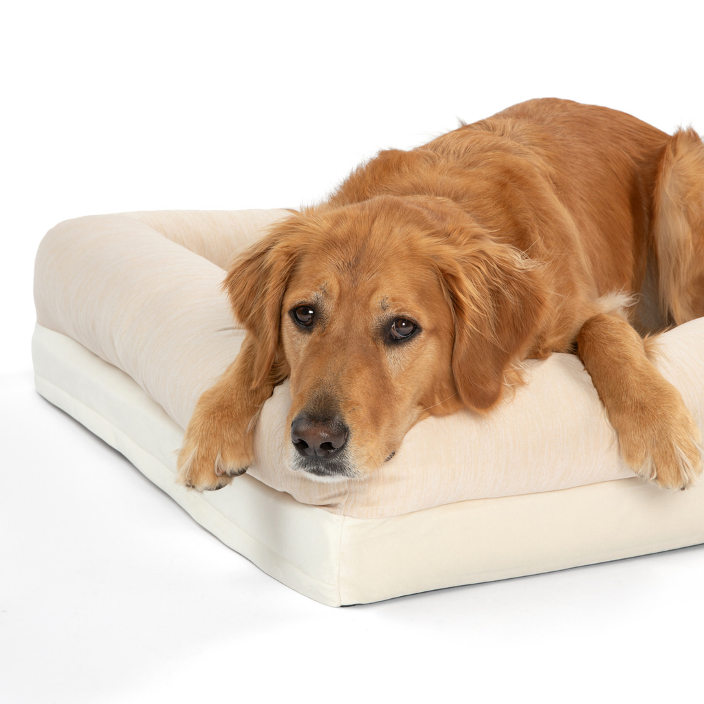 Cooling 4-bolster dog bed with light arctic sand cover and plush raised sides, with dog