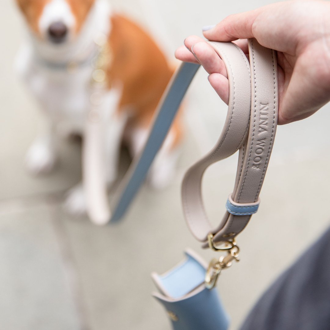 Hand holding light blue and beige vegan leather dog leash with gold hardware