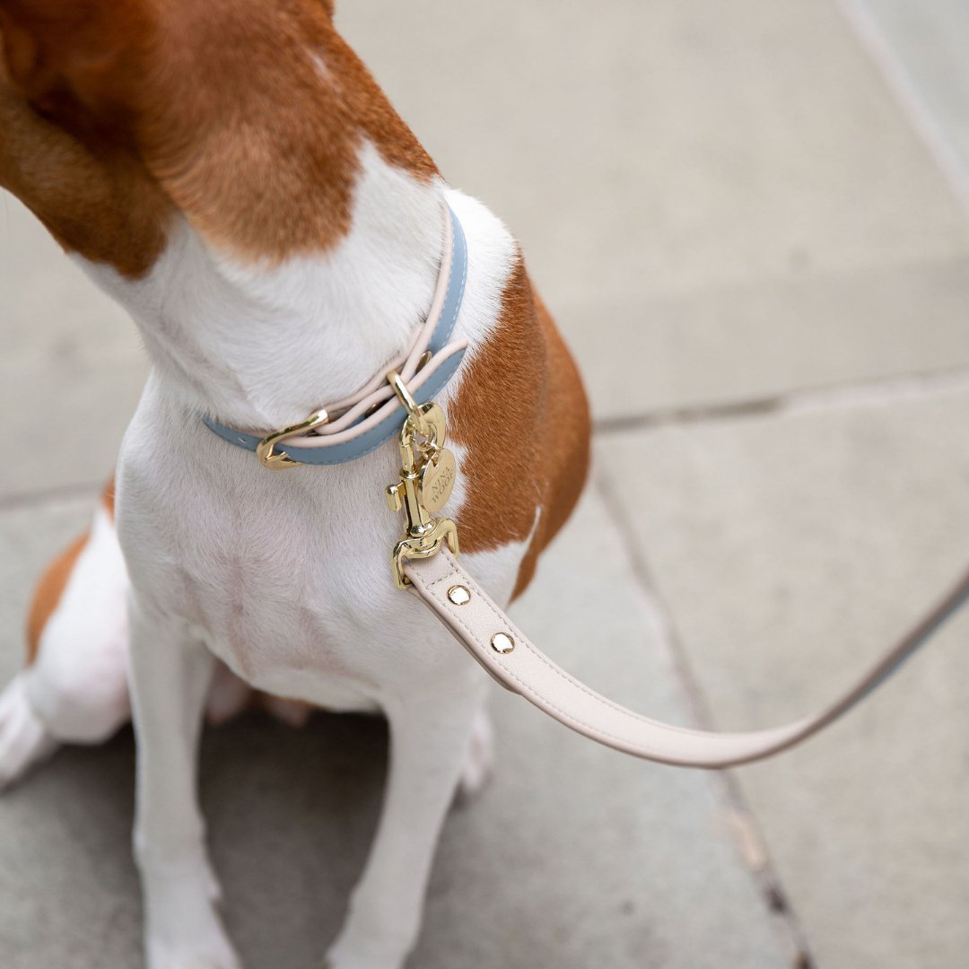 Light blue and pink vegan leather dog leash with gold clasp and leash ring