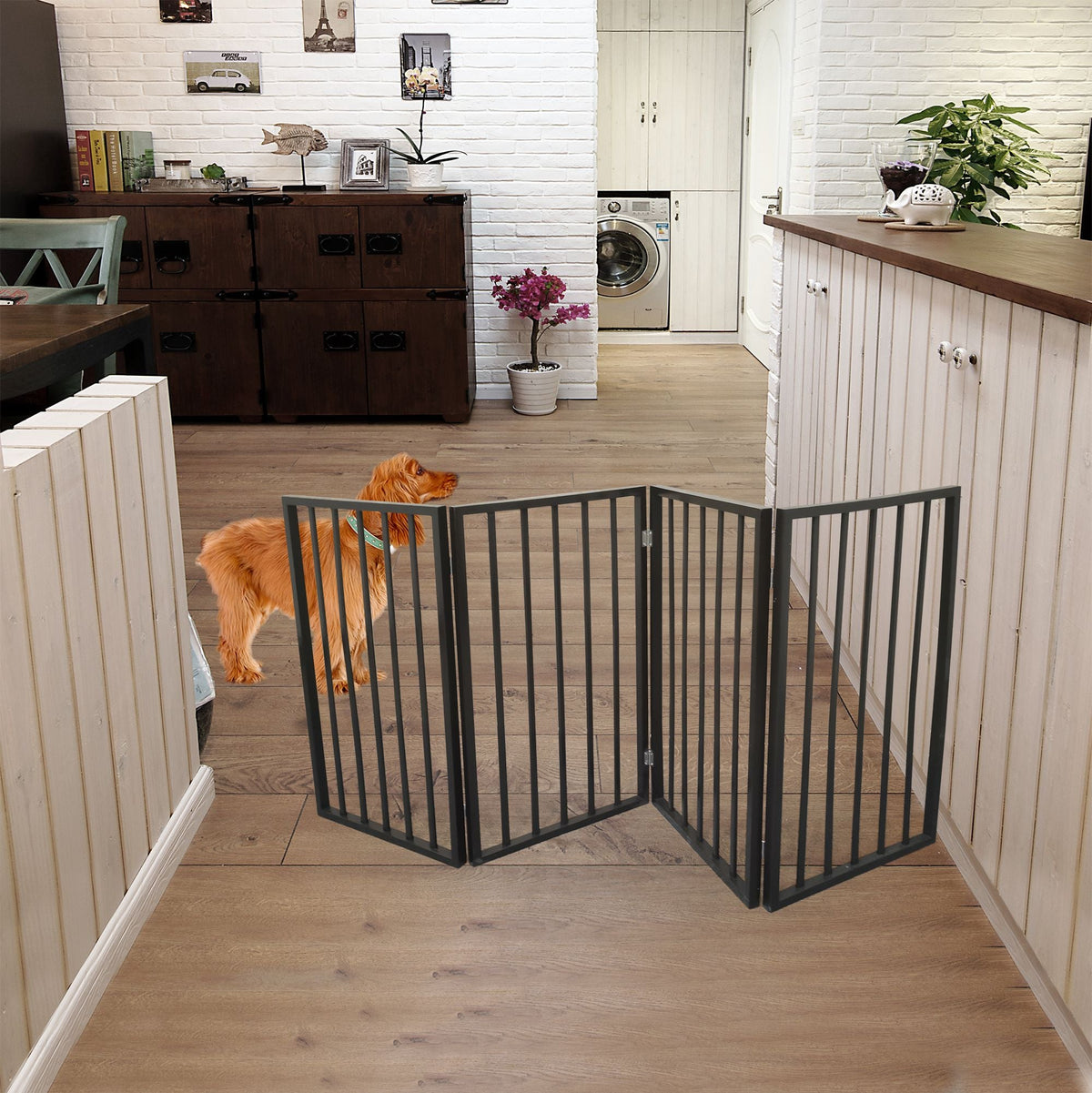 Black folding pet gate positioned across an indoor hallway, with vertical-bar panels.