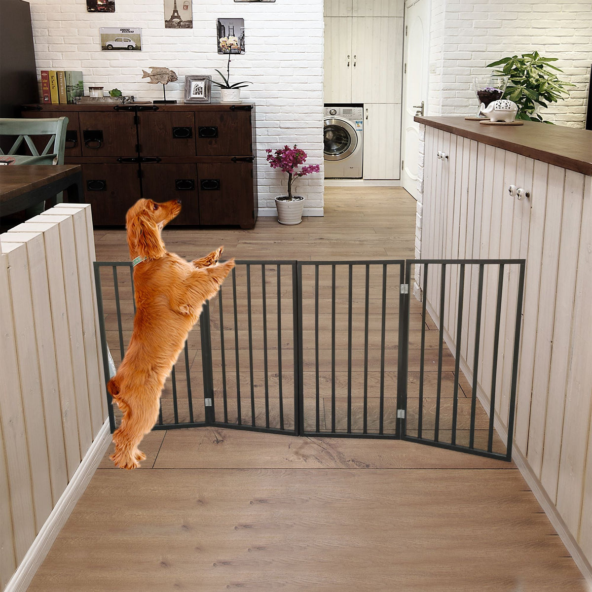 Freestanding folding pet gate with black vertical bars, blocking doorway in home.