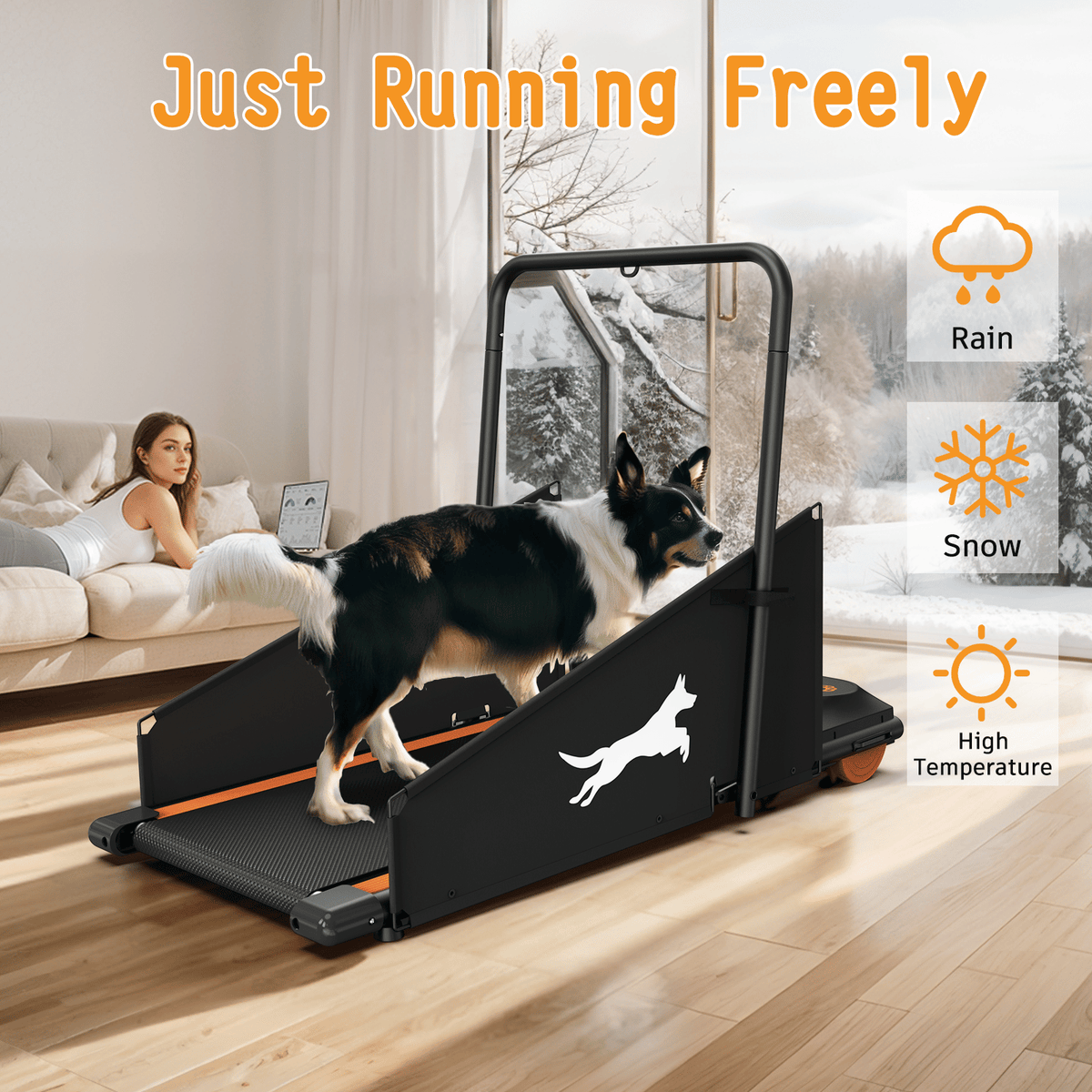 Black dog treadmill with raised frame and ramp, dog walking on the running belt