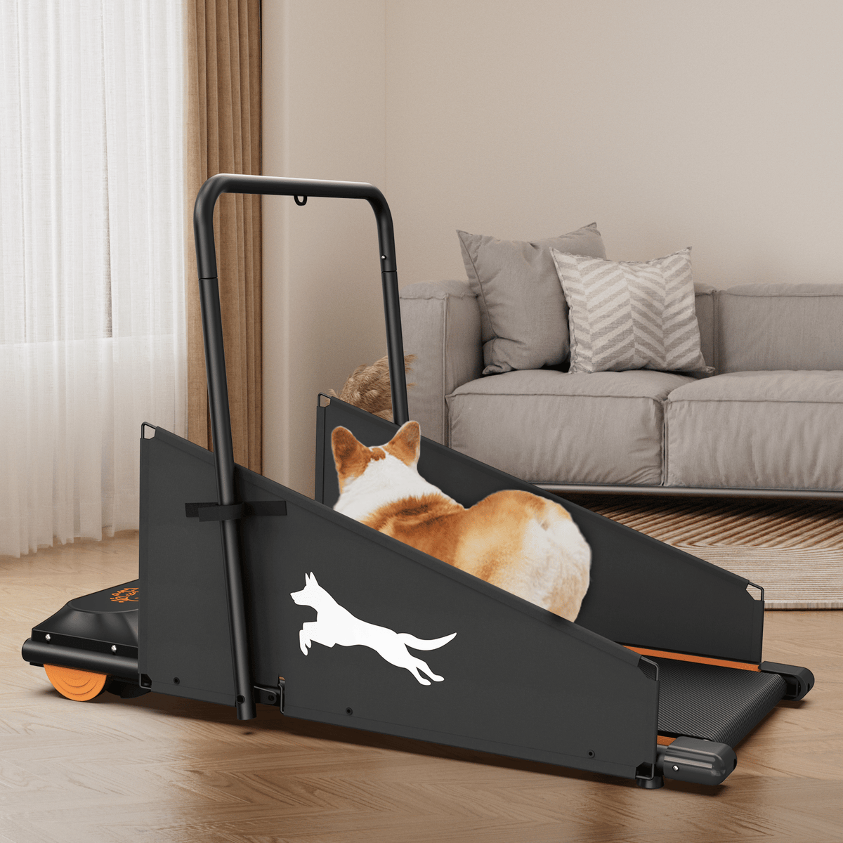 Black dog treadmill with orange wheels and ramp, dog lying on the running deck
