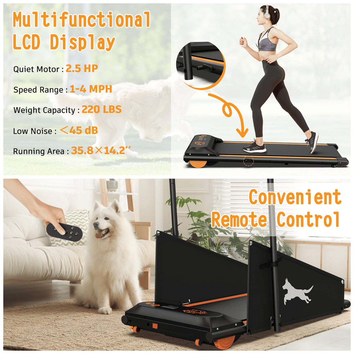 Black dog treadmill with orange wheels and running belt, dog near the ramp