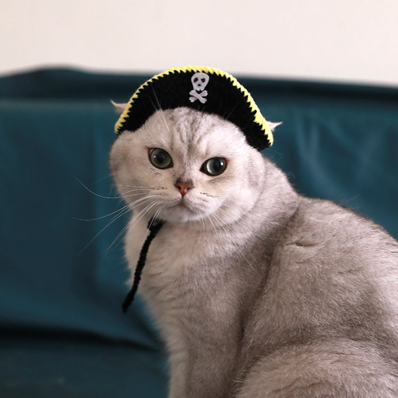 Handmade pirate pet hat on cat, black cap with yellow trim and long hanging tassel