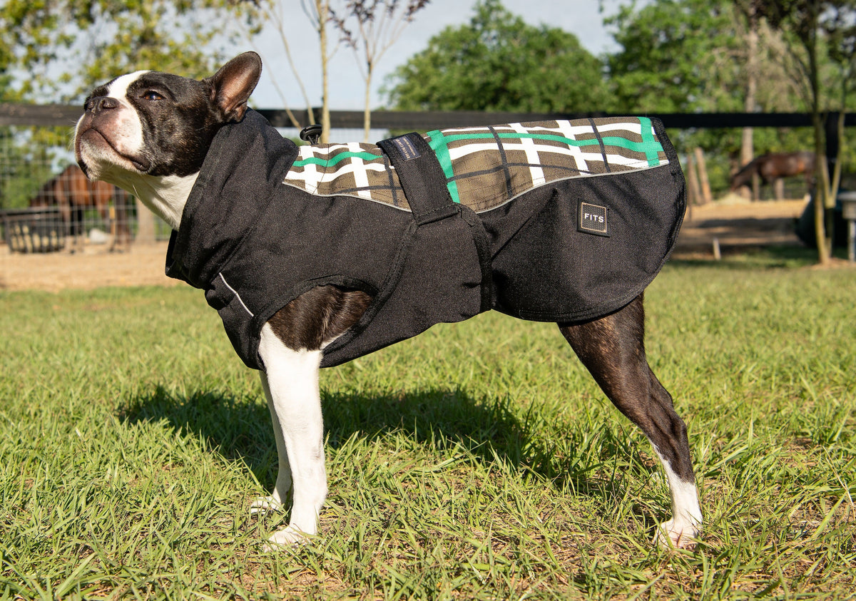 Dog all-weather coat, dark gray with green-and-white cross pattern and hood