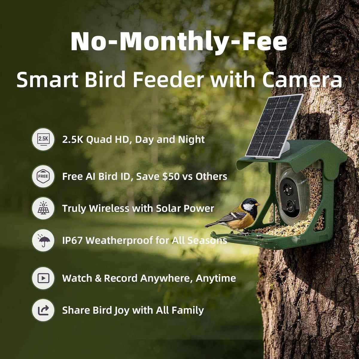 Green solar-powered bird feeder camera mounted on a tree