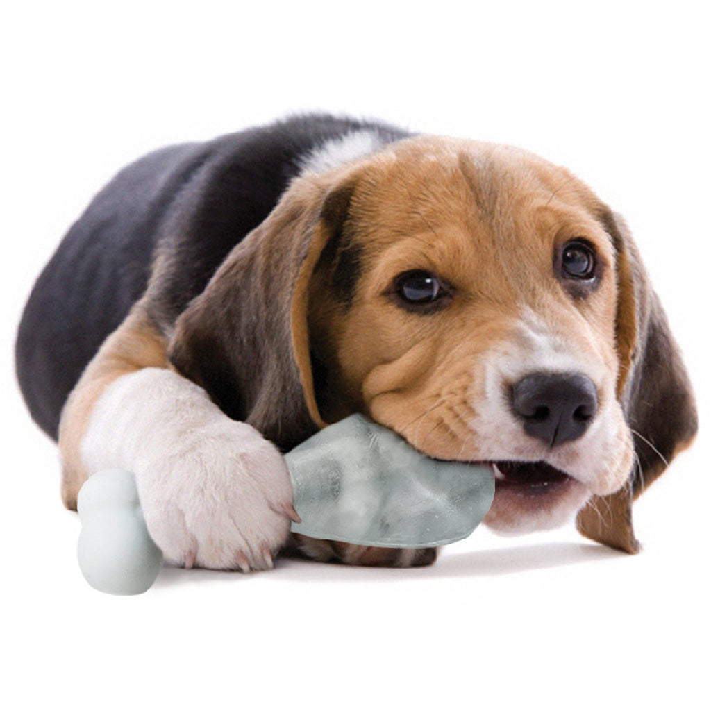 Beagle puppy chewing a pale frozen treat in a bone-shaped holder