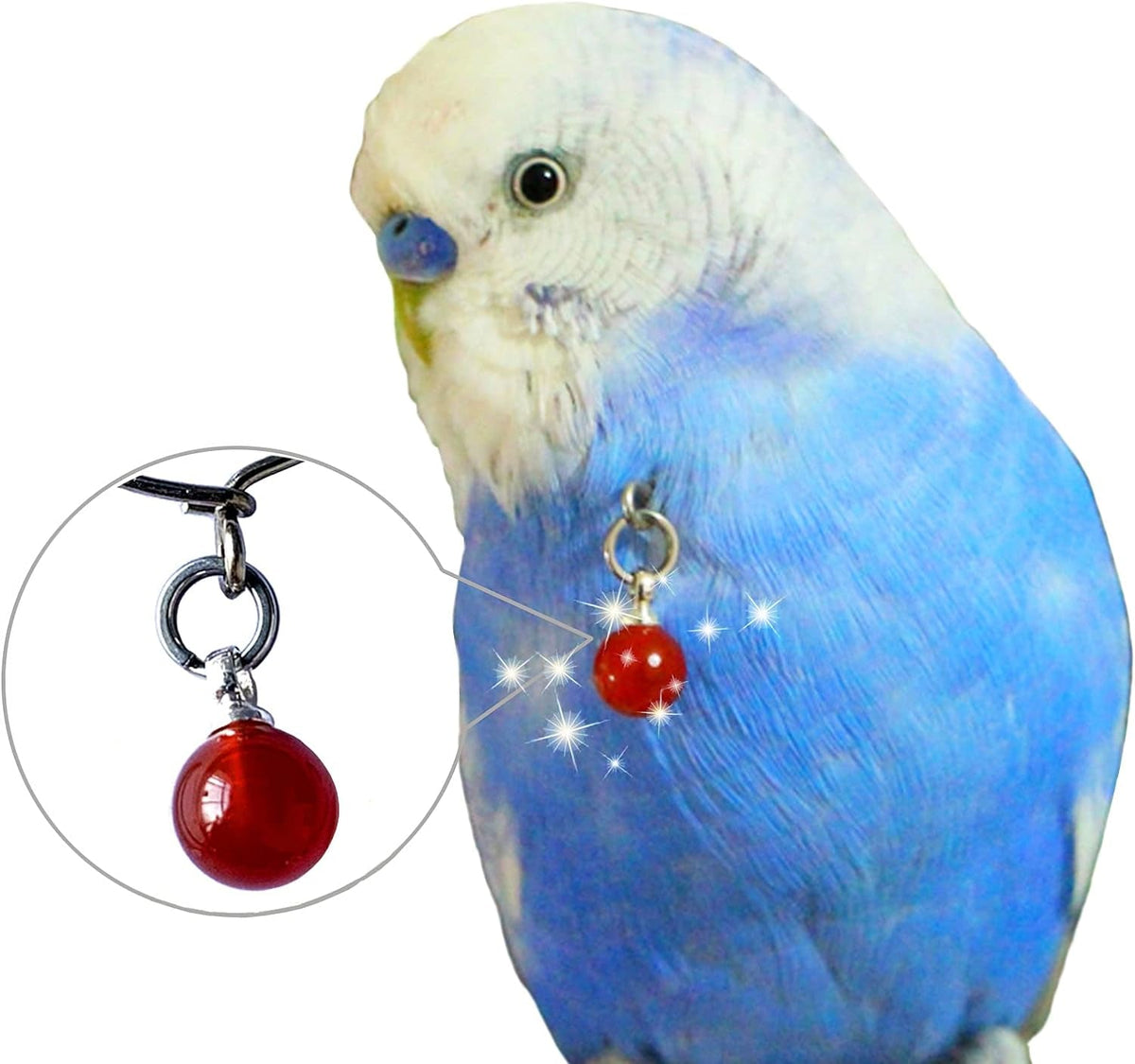 Bird collar necklace with a red pendant modeled on a blue budgerigar