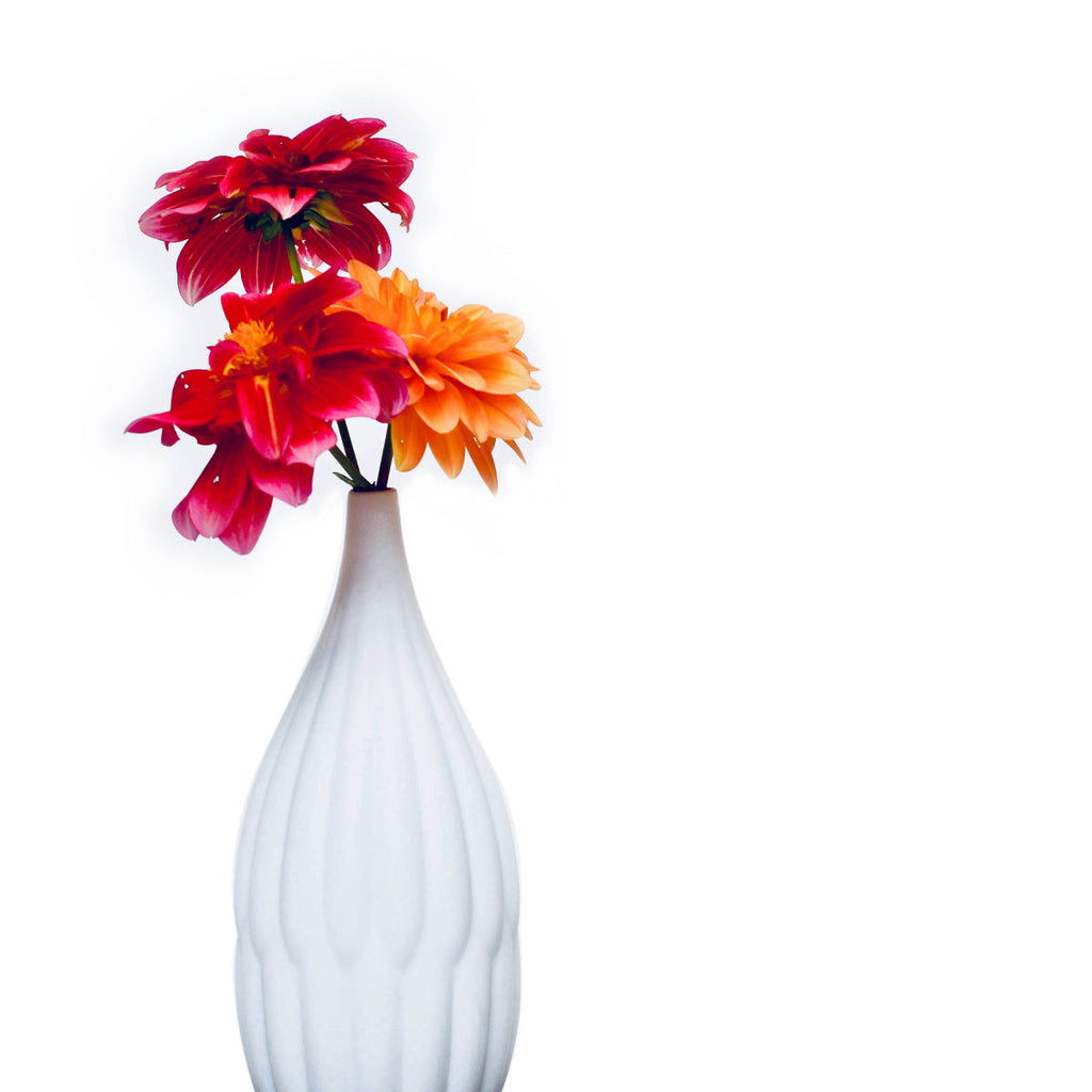 White textured porcelain vase with bright red and orange flowers, ribbed narrow neck.