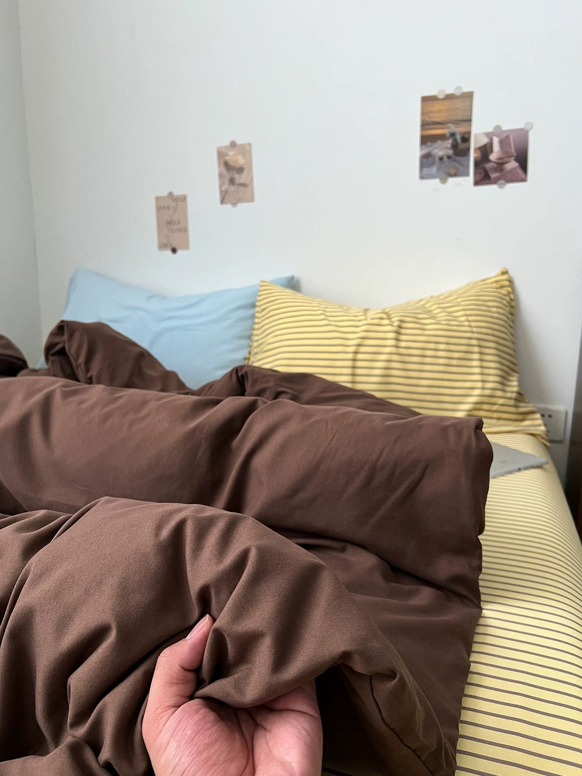 Dark brown comforter fabric close-up with white zipper detail and pillow behind