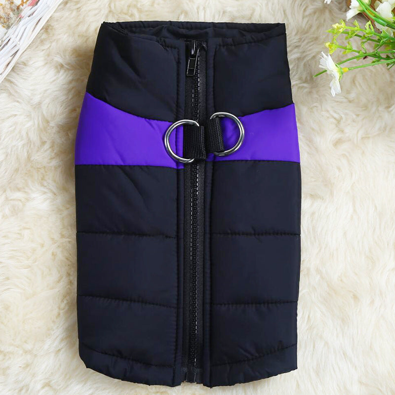 Dog winter padded vest with purple stripe, front zipper and metal D-ring clasp