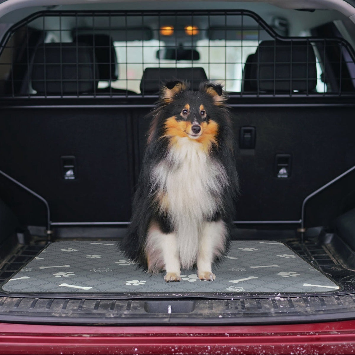 Grey pet potty pad placed in a dog crate, with non-slip textured surface