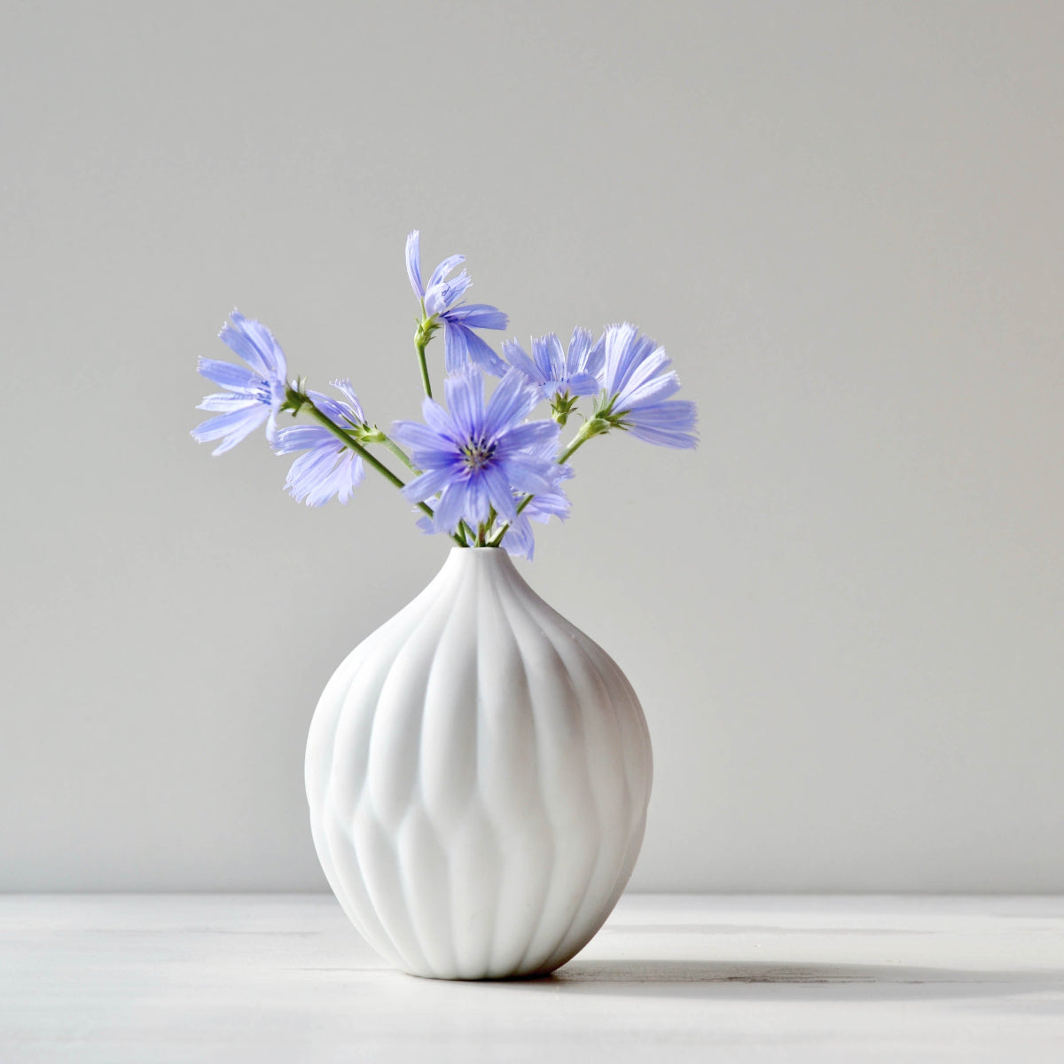 White textured porcelain vase with ribbed bulb holding light blue flowers