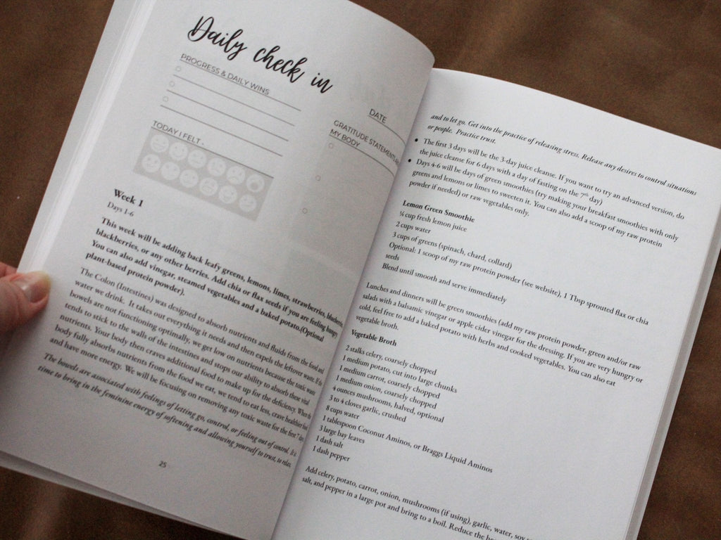 Detox book open to daily check-in page with headings and fill-in text sections