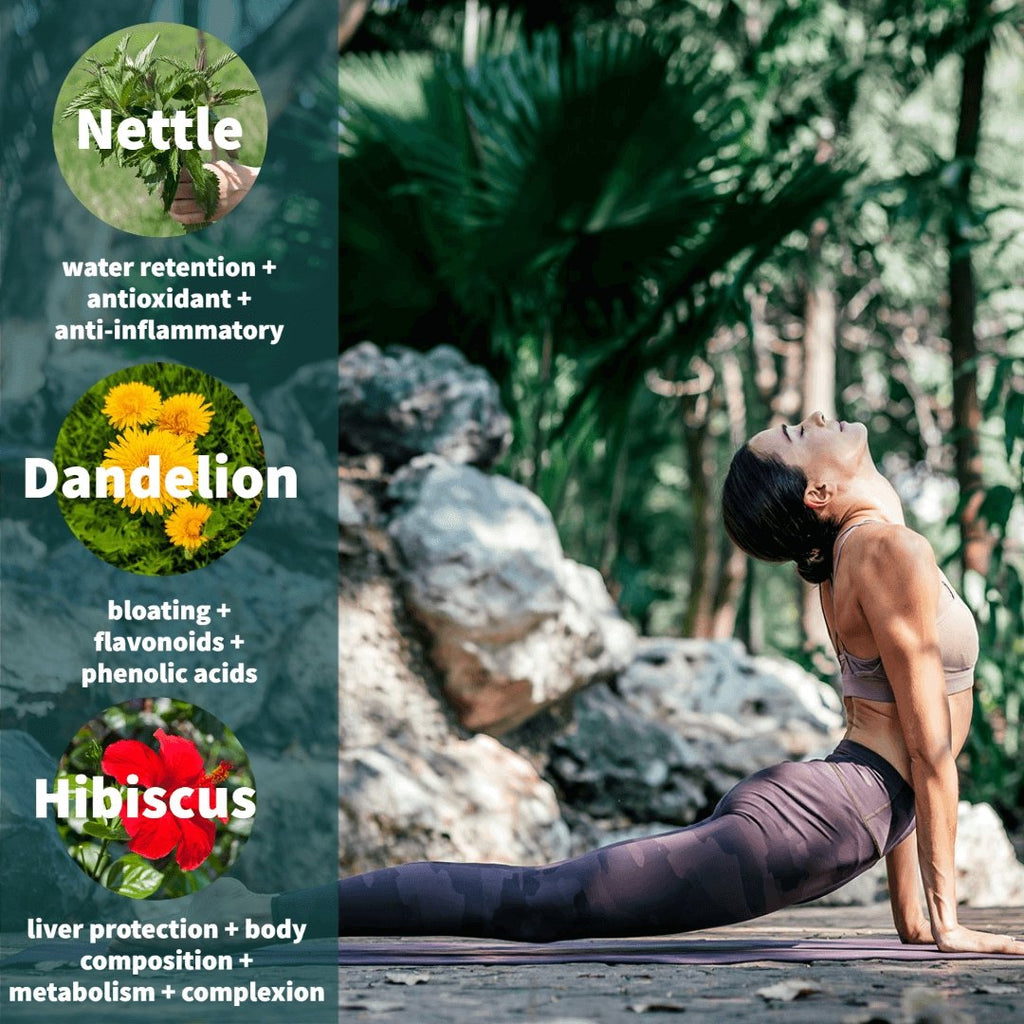 Herbal detox tea blend infographic with nettle, dandelion, hibiscus and yoga