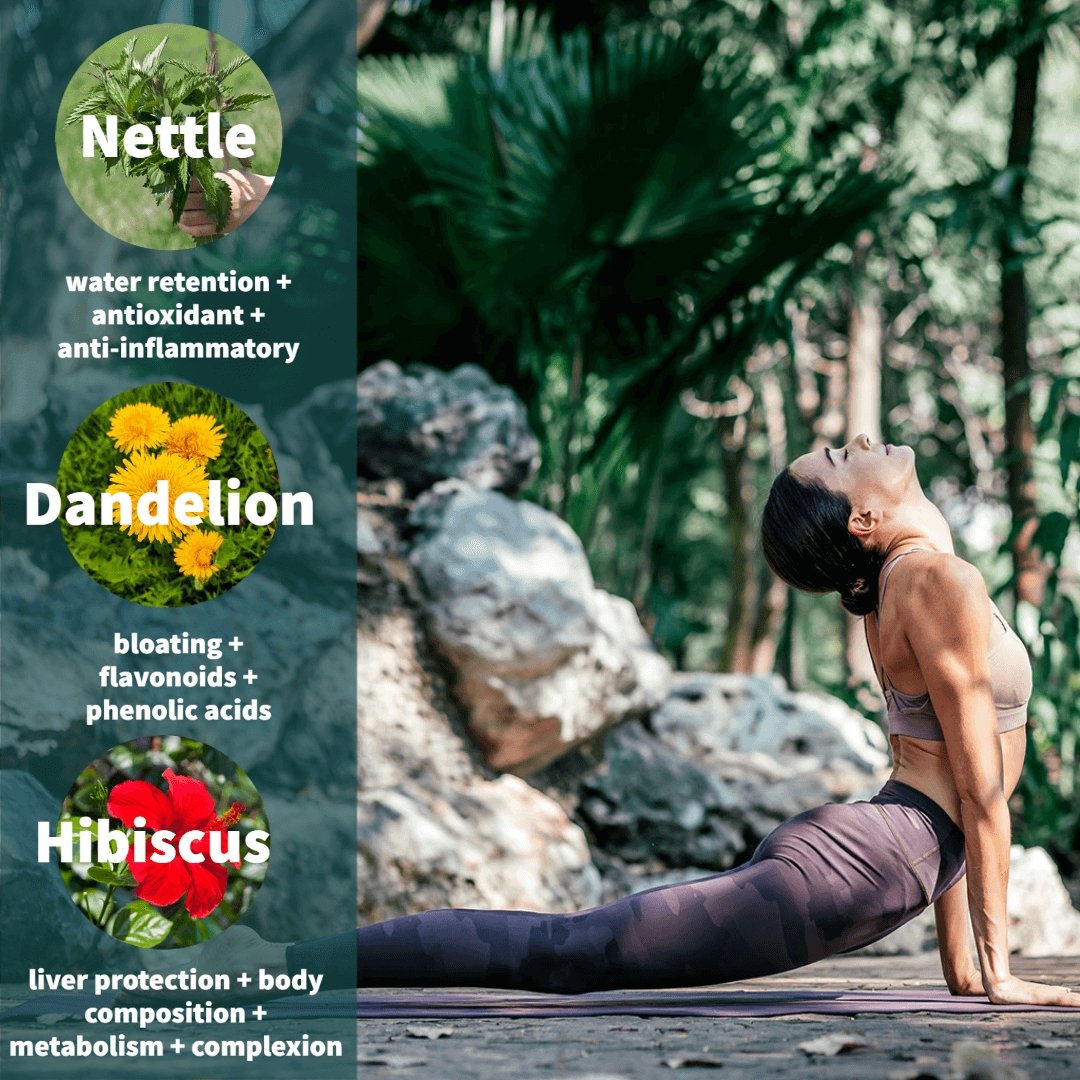 Herbal detox tea blend infographic with nettle, dandelion, hibiscus and yoga
