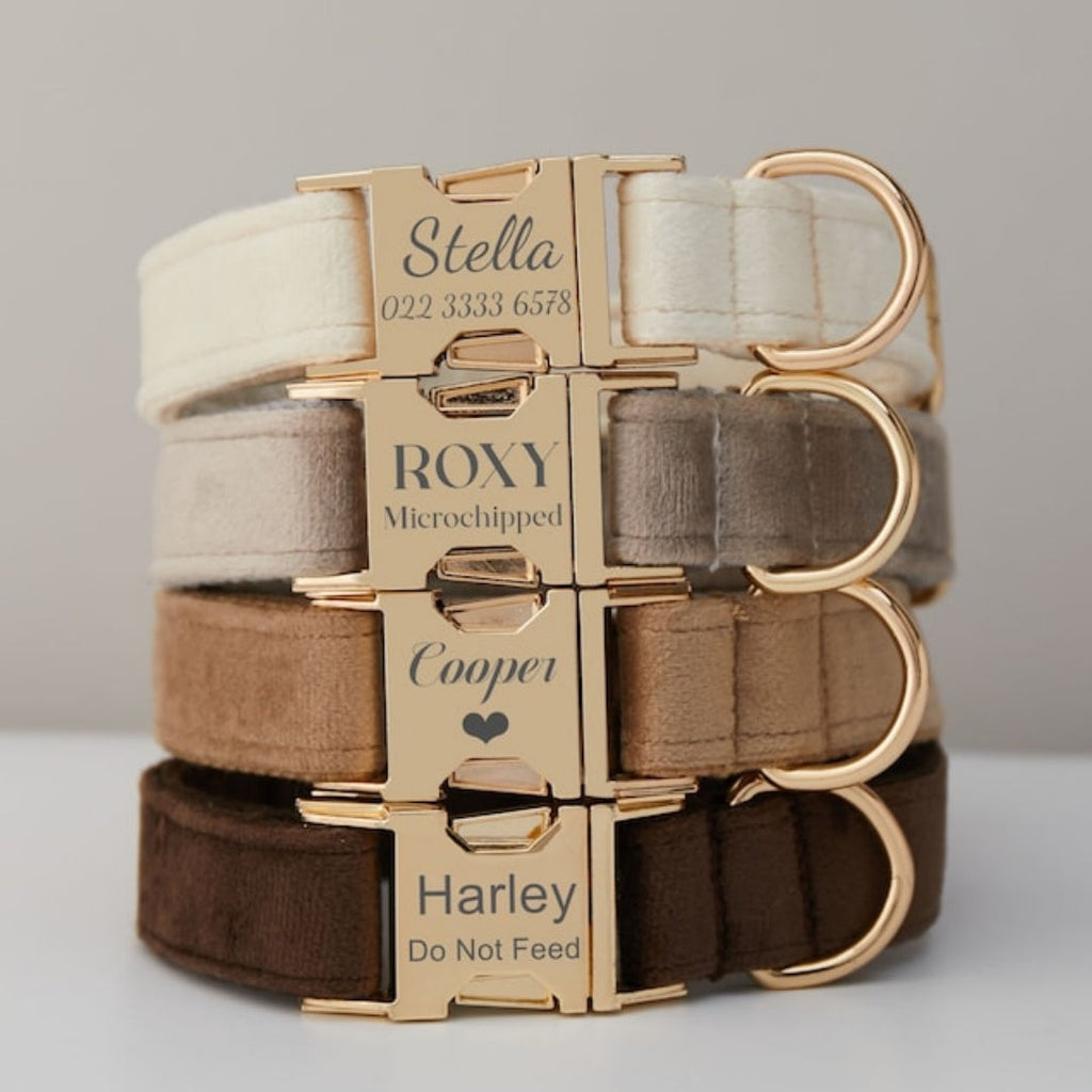 Stack of plush velvet dog collars with gold-tone metal buckles