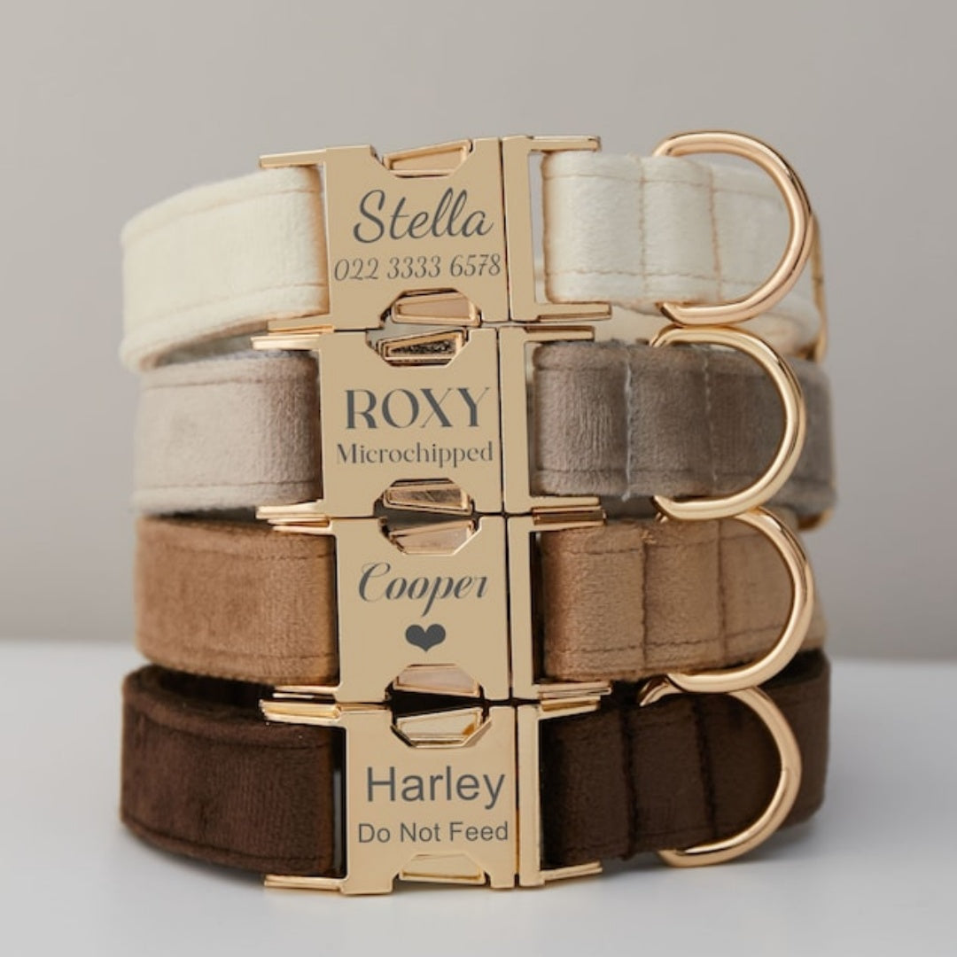 Stack of plush velvet dog collars with gold-tone metal buckles