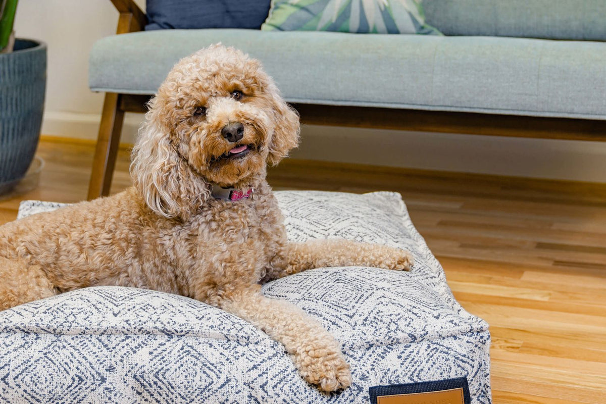 Lounger pet bed with gray zigzag patterned cover; tan dog lying with head up