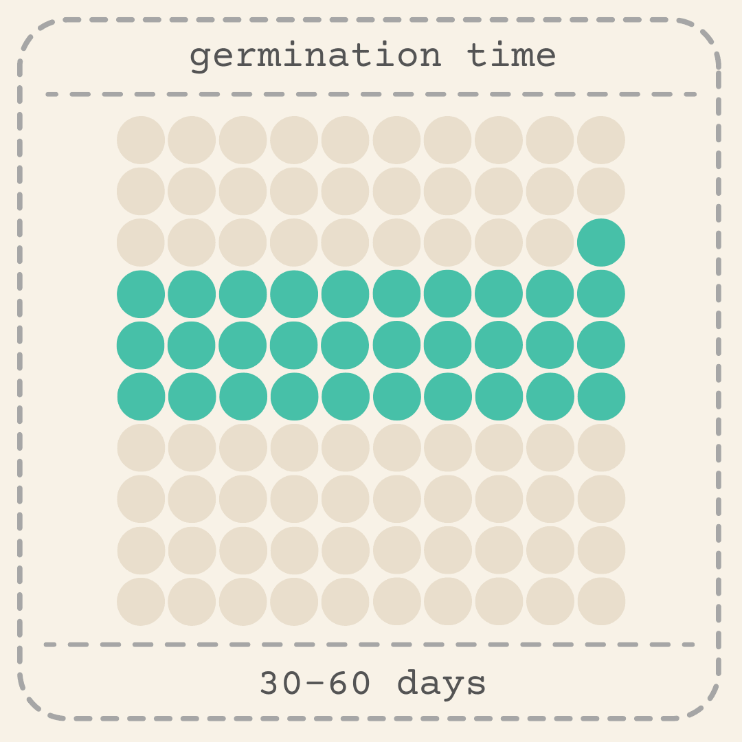 Seed germination chart showing 30–60 days timeline with dot grid