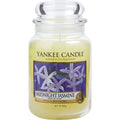 Large glass jar scented candle with Midnight Jasmine label and cream wax