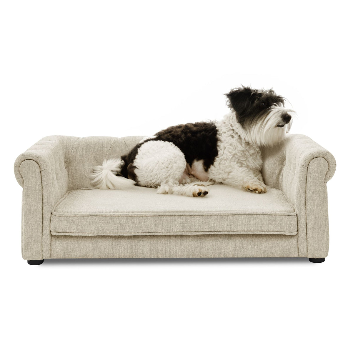 Beige dog sofa bed with two dogs resting on the cushioned seat