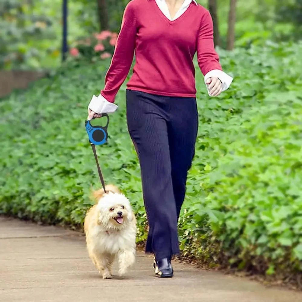 Retractable dog leash in blue used while walking a small white dog on a patio path