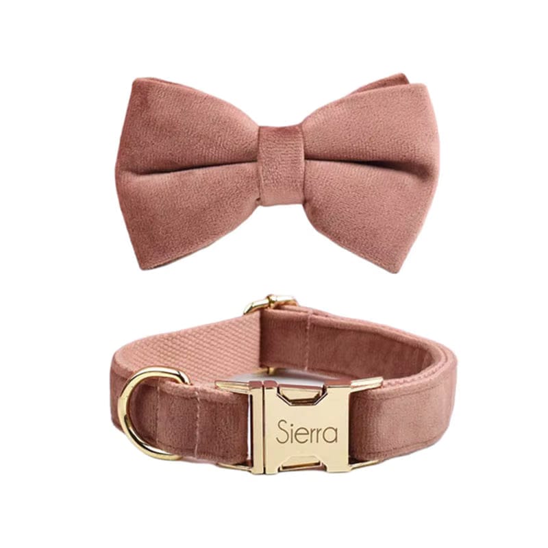 Dusty pink velvet bowtie and dog collar with gold-tone buckle and name tag
