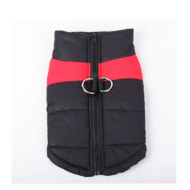 Dog winter padded vest with red stripe, front zipper and metal D-ring clasp