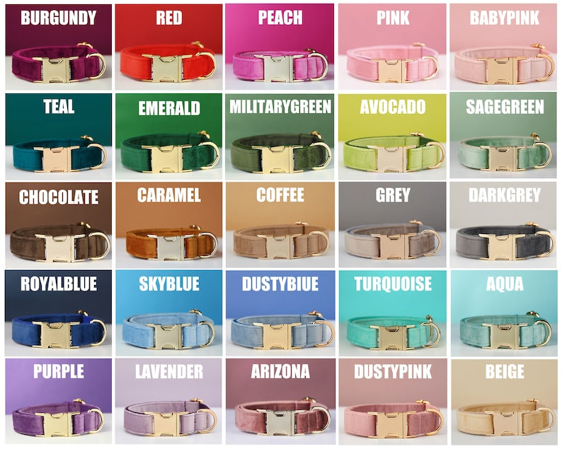 Velvet dog collar and leash set with bow in multiple colors, shown side by side