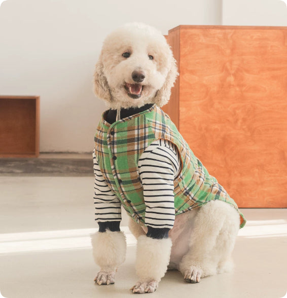 Green plaid thermal pet jacket with zip front, striped sleeves, and navy cuffs