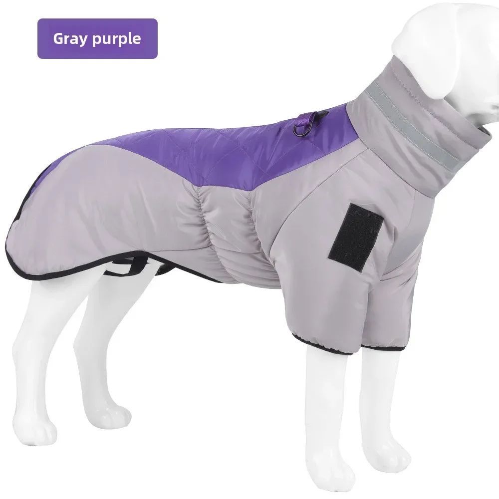 Gray and purple dog winter jacket with gray neck and reflective-style patch
