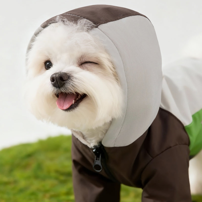 Dog wearing waterproof outdoor jacket with hood and front zip pocket