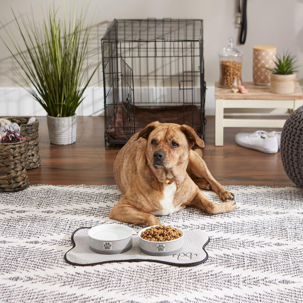 Striped ceramic pet bowls on a feeding mat beside a dog, one holding kibble
