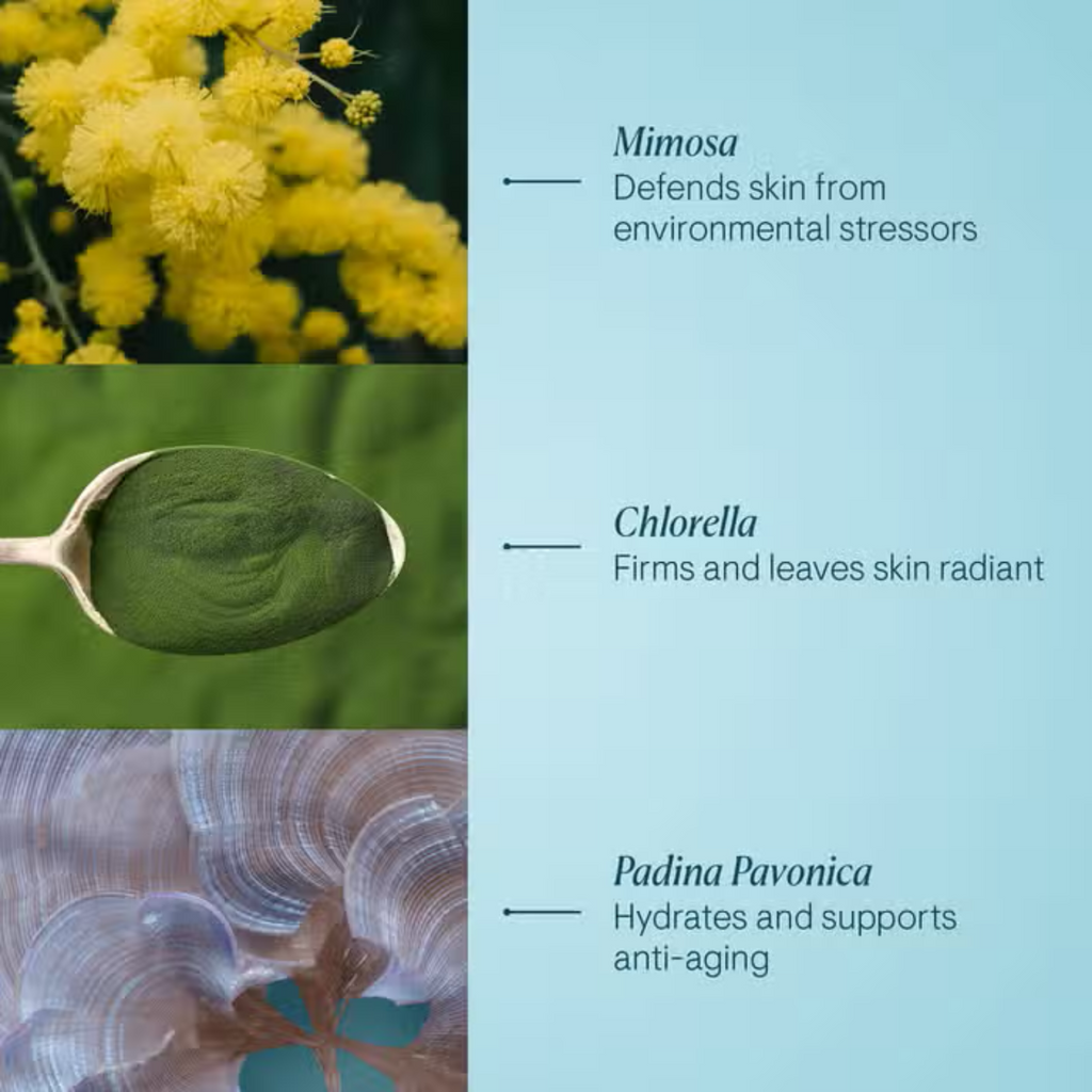 Mimosa and other botanical ingredient callouts beside skincare texture