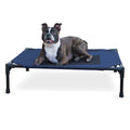 Blue elevated dog bed with raised mesh surface, four legs, styled with a dog