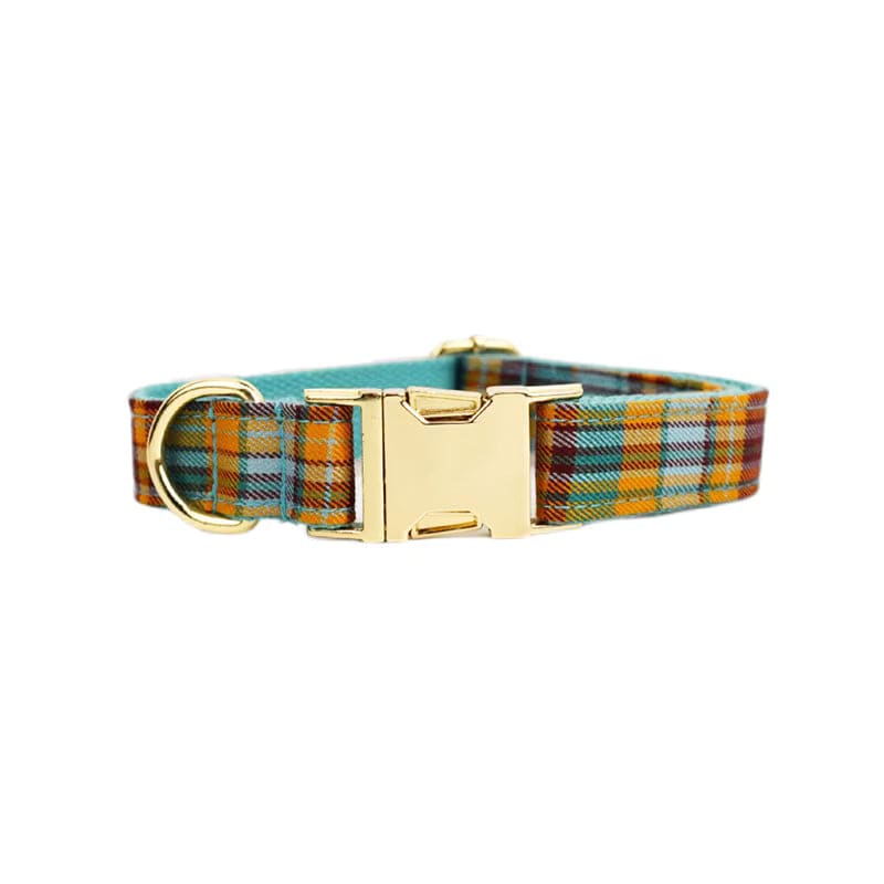 Plaid pet collar with gold-tone buckle, teal blue and orange check pattern