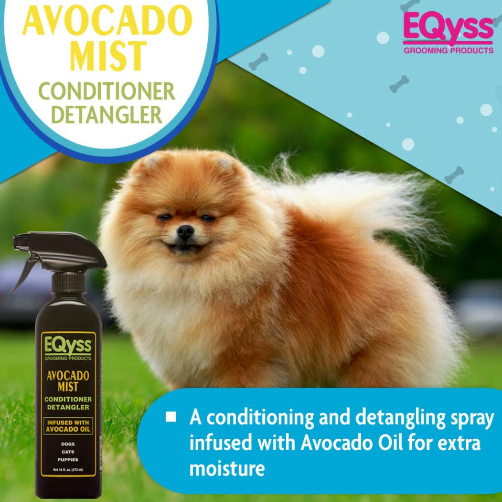 Avocado mist conditioner detangler spray bottle next to a fluffy dog on a graphic