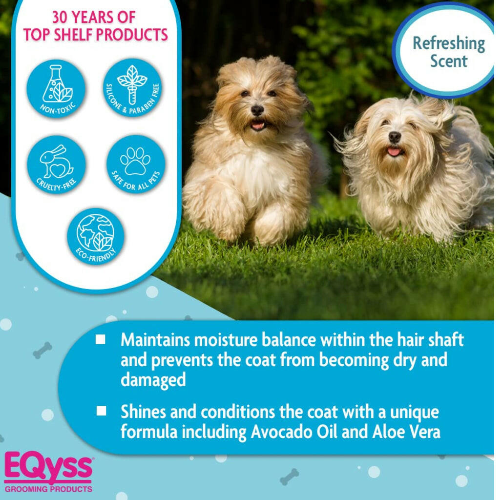 Avocado mist conditioner detangler spray bottle on an infographic with two dogs