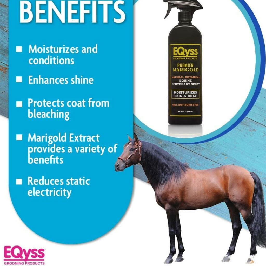 EQyss Premier Marigold equine spray bottle with horse and benefits text panel