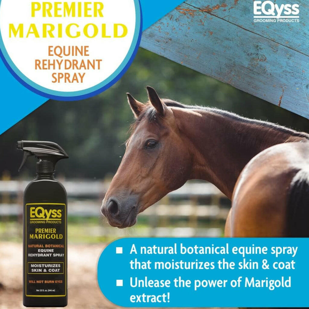 EQyss Premier Marigold equine spray bottle beside brown horse close-up