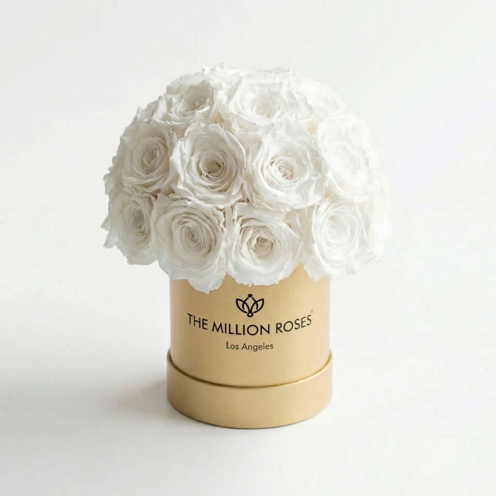 White rose superdome box with cream-white roses in gold cylindrical base
