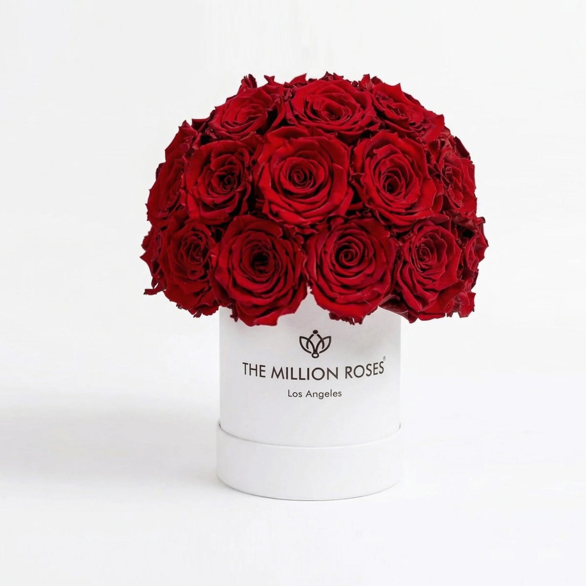 White superdome box with red roses bouquet