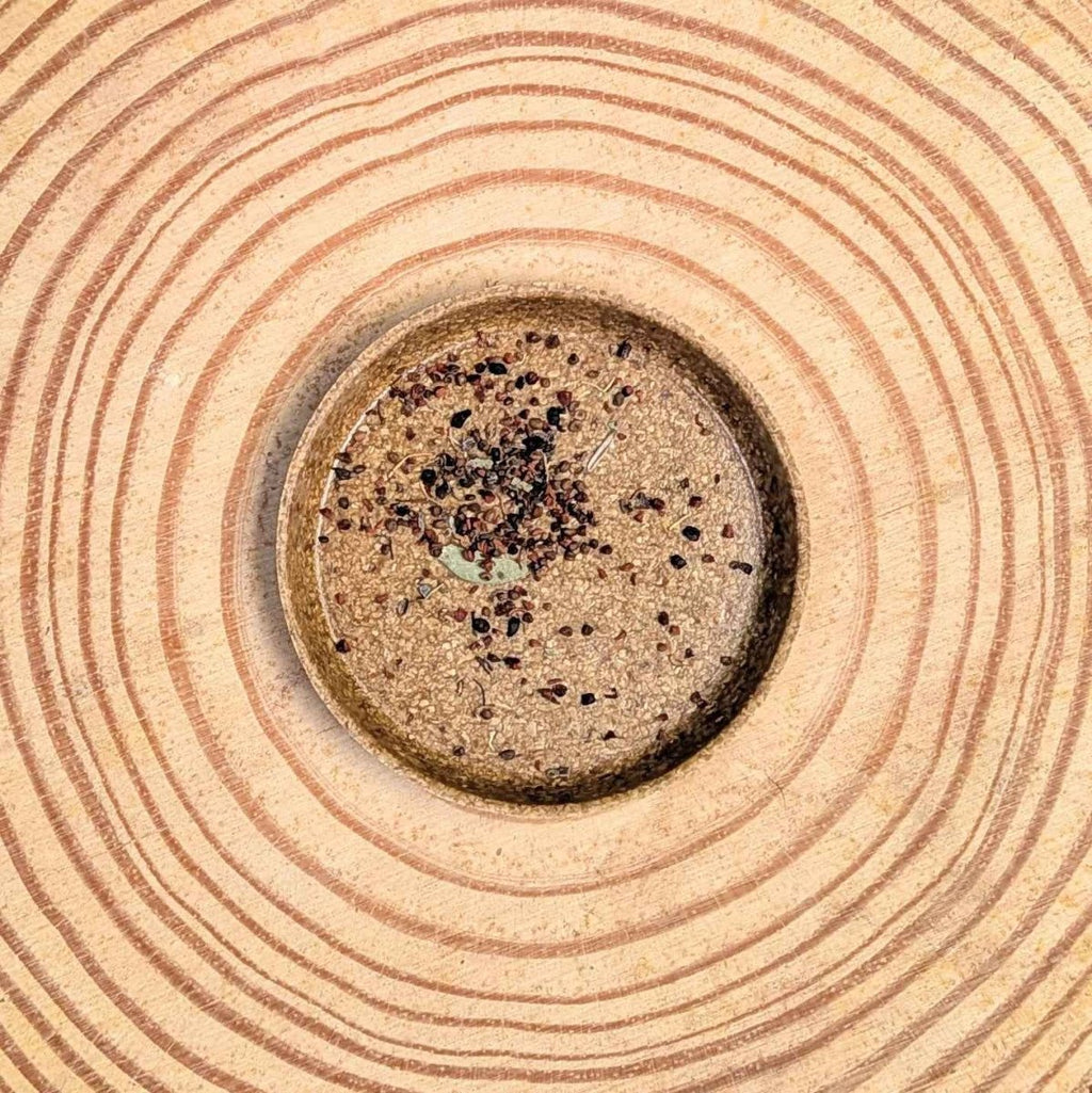 Eucalyptus 'Baby Blue' seeds in a circular tray, small dark seeds on tan surface