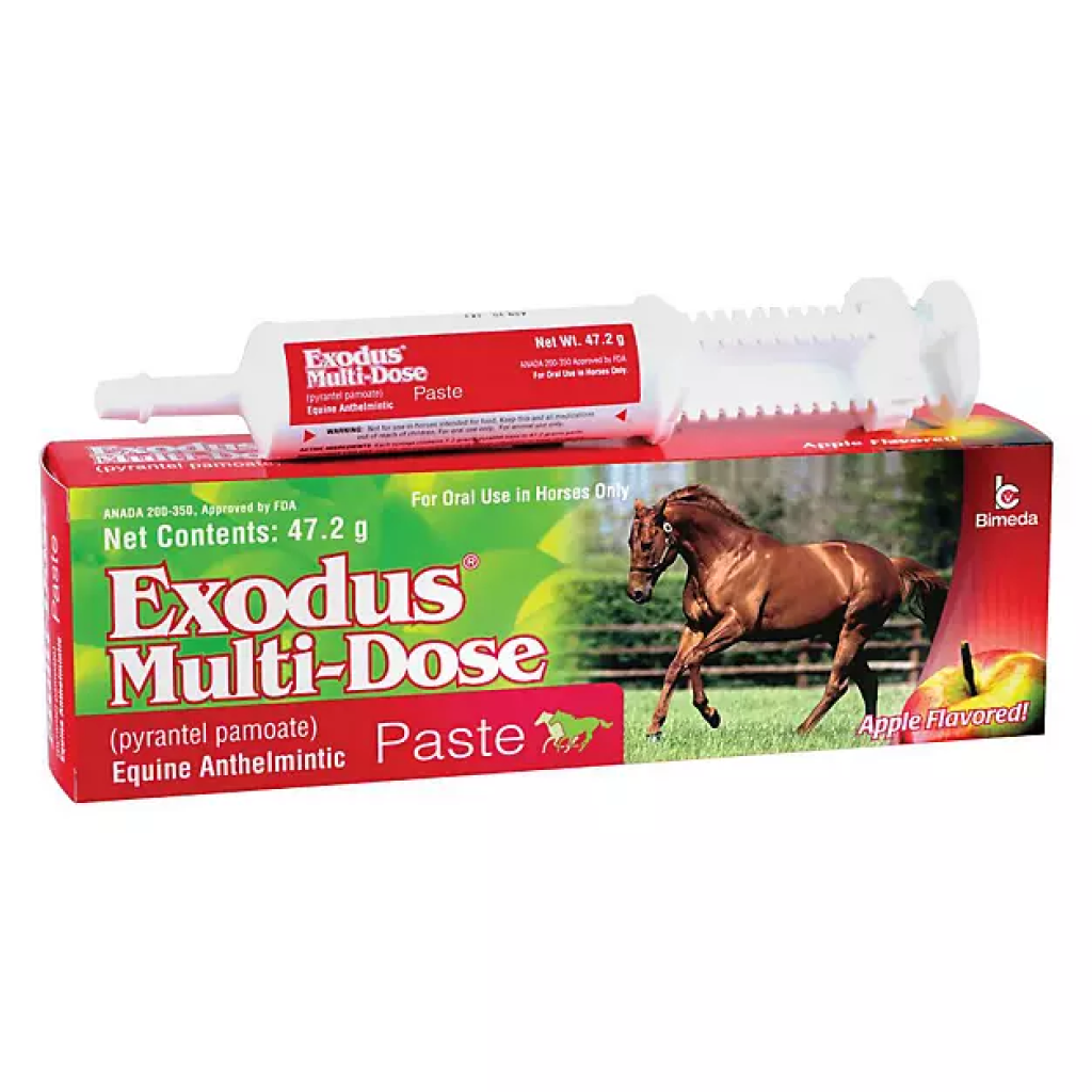 Horse anthelmintic paste box with apple-flavored tube applicator