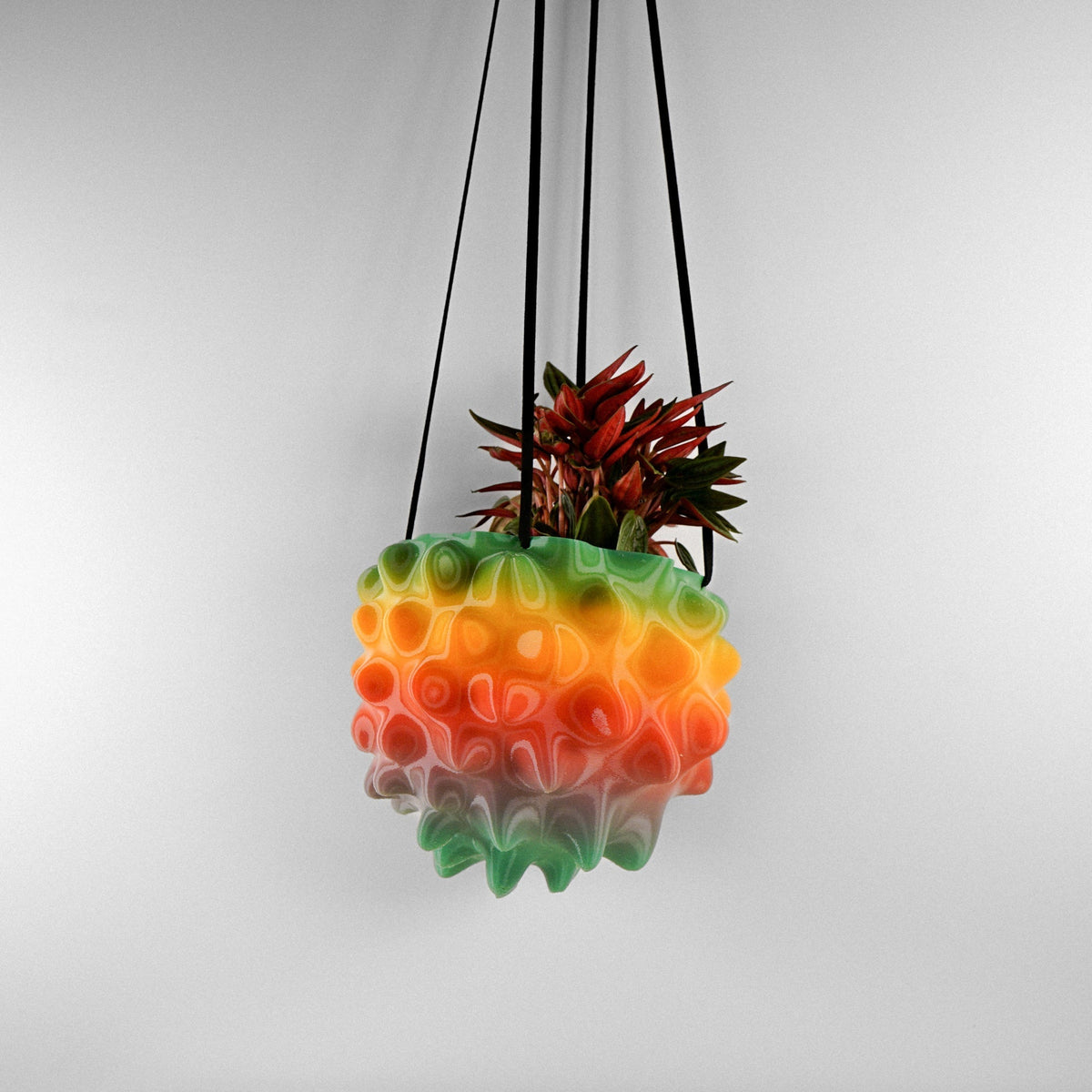 Rainbow textured creature-orb hanging planter pot with red-tipped plant